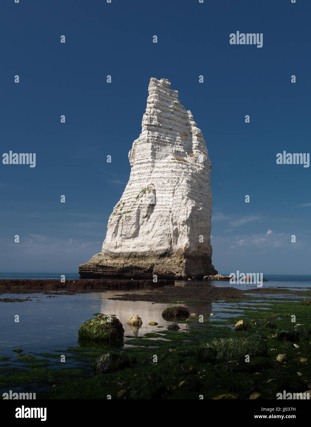 Die Nadel von Etretat Stockfoto