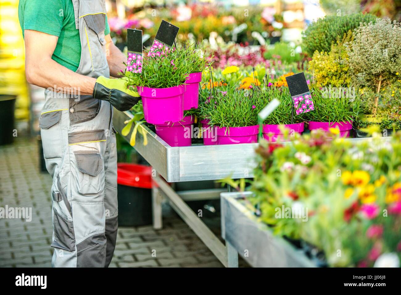 Floristen und seine Blumen-Geschäft. Kaukasische Garten Ladenbesitzer. Garten- und Landschaftsbau. Floristik-Industrie-Thema. Stockfoto