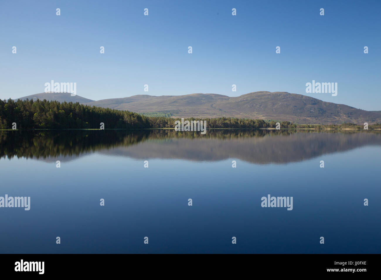 Loch Garten Reflexionen, Cairngorms, Schottland Stockfoto