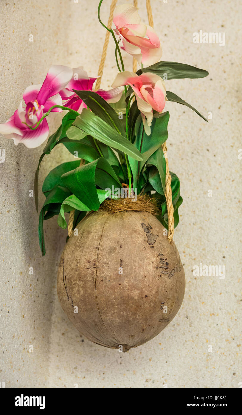 Kokosnuss Schale Blumentopf mit künstlichen rosa und rote Orchideen hängt an der Wand, im Freien, Dekoration, Terrasse, Veranda, Mittelmeer Stockfoto