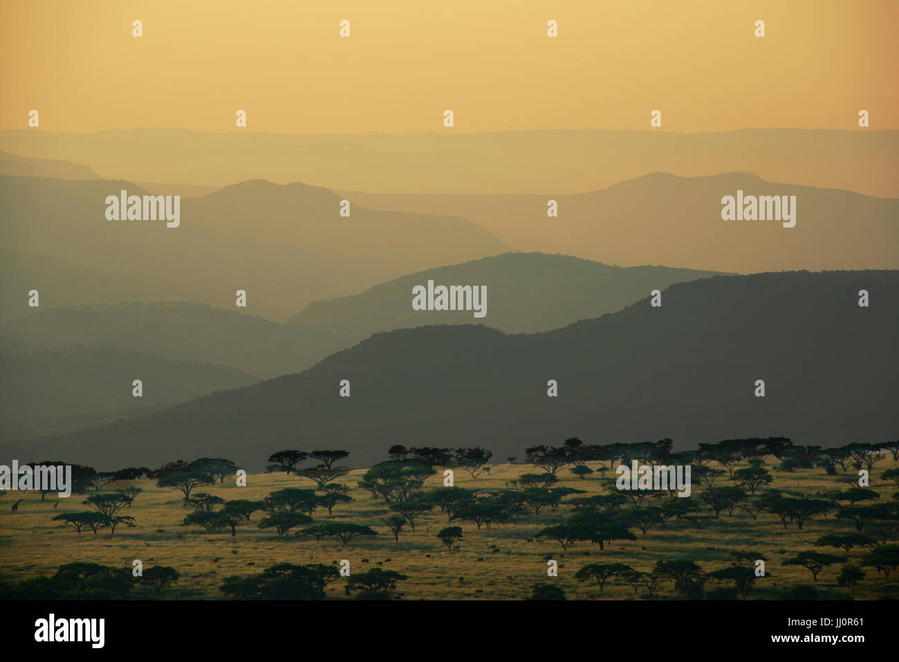 Am frühen Morgen Landschaft KwaZulu-Natal South Africa Stockfoto