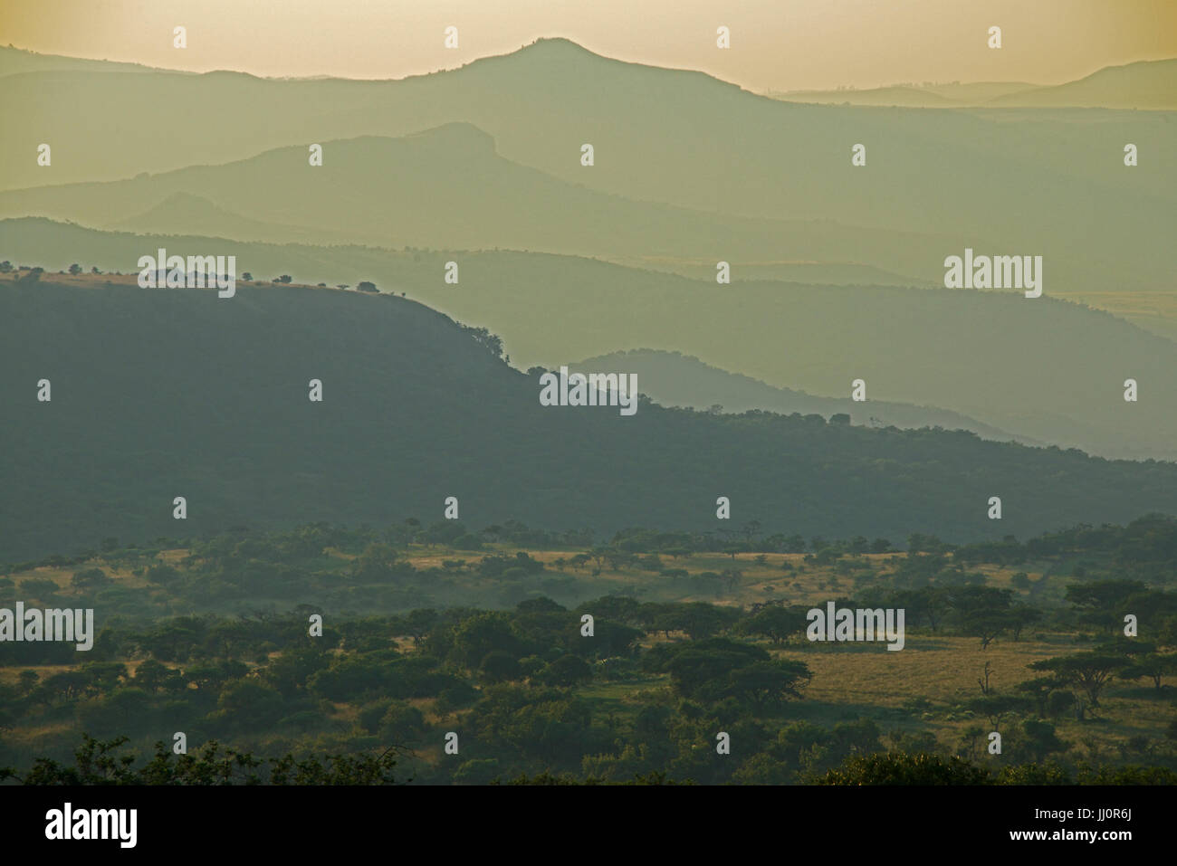 Am frühen Morgen Landschaft KwaZulu-Natal South Africa Stockfoto