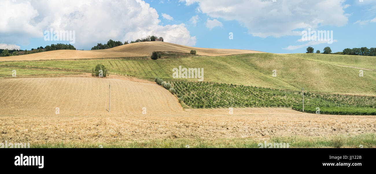 Culvated Felder und Weinberge auf sanften Hügeln des nördlichen Apennin. Emilia-Romagna, Italien. Stockfoto