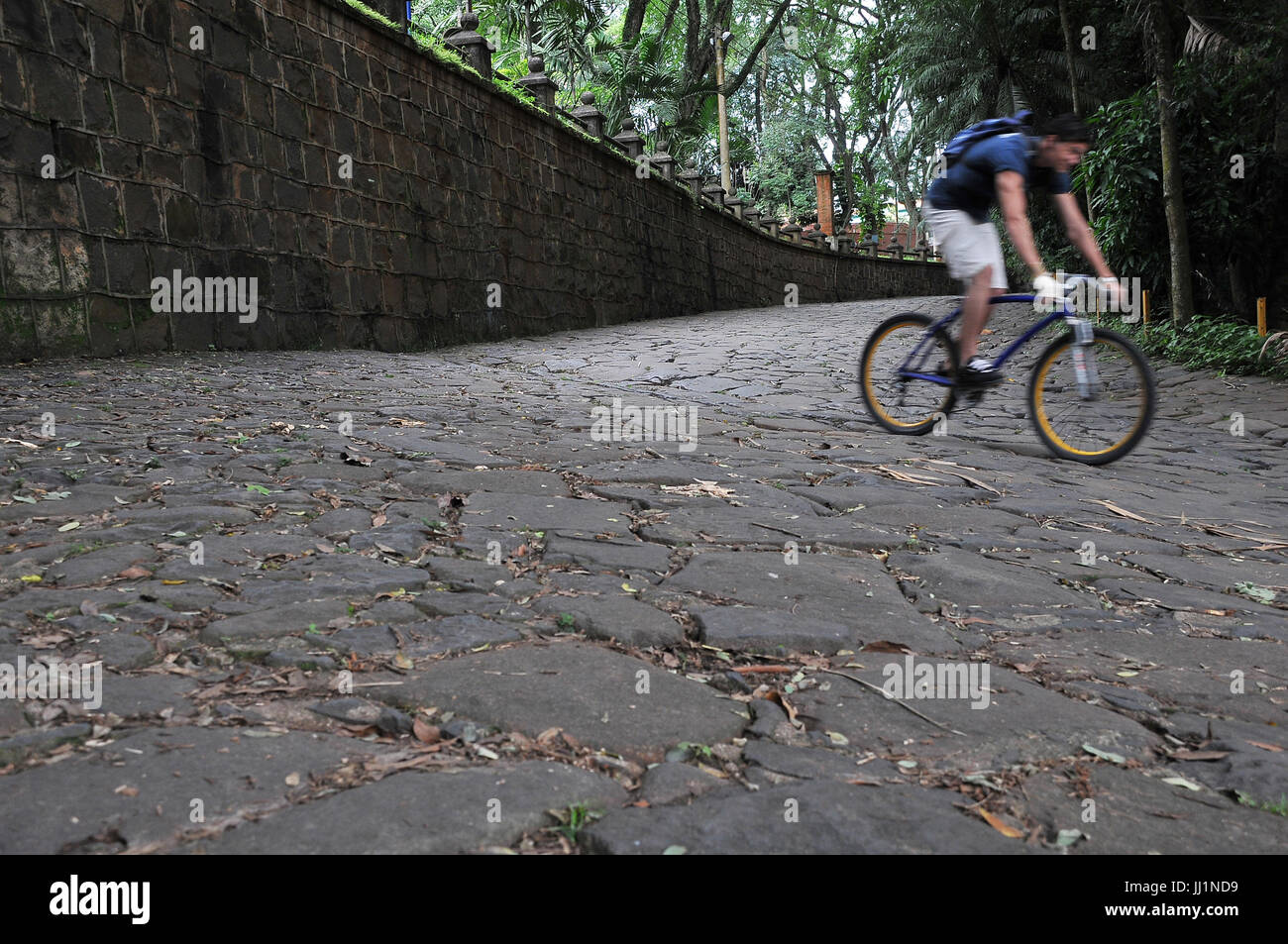 Leute, Mann, Fahrrad, São Paulo, Brasilien Stockfoto