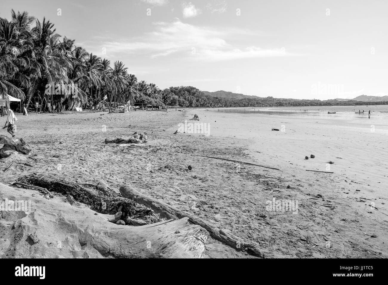 Schwarz & Weiß Costa Rica Strand touristische Reiseziele in Tavel atemberaubende Strände spanische Kultur Tico Palmen Kokosnüsse Mittelamerika Pazifik Stockfoto
