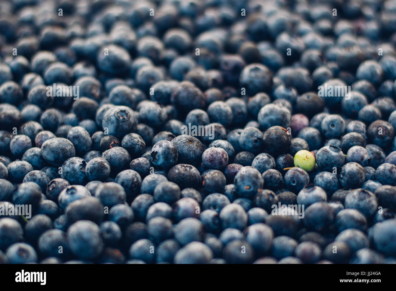 In einer Million Sommer Blaubeeren auf dem Bauernmarkt: einzelne grüne Beere stehen in einer Menschenmenge Stockfoto