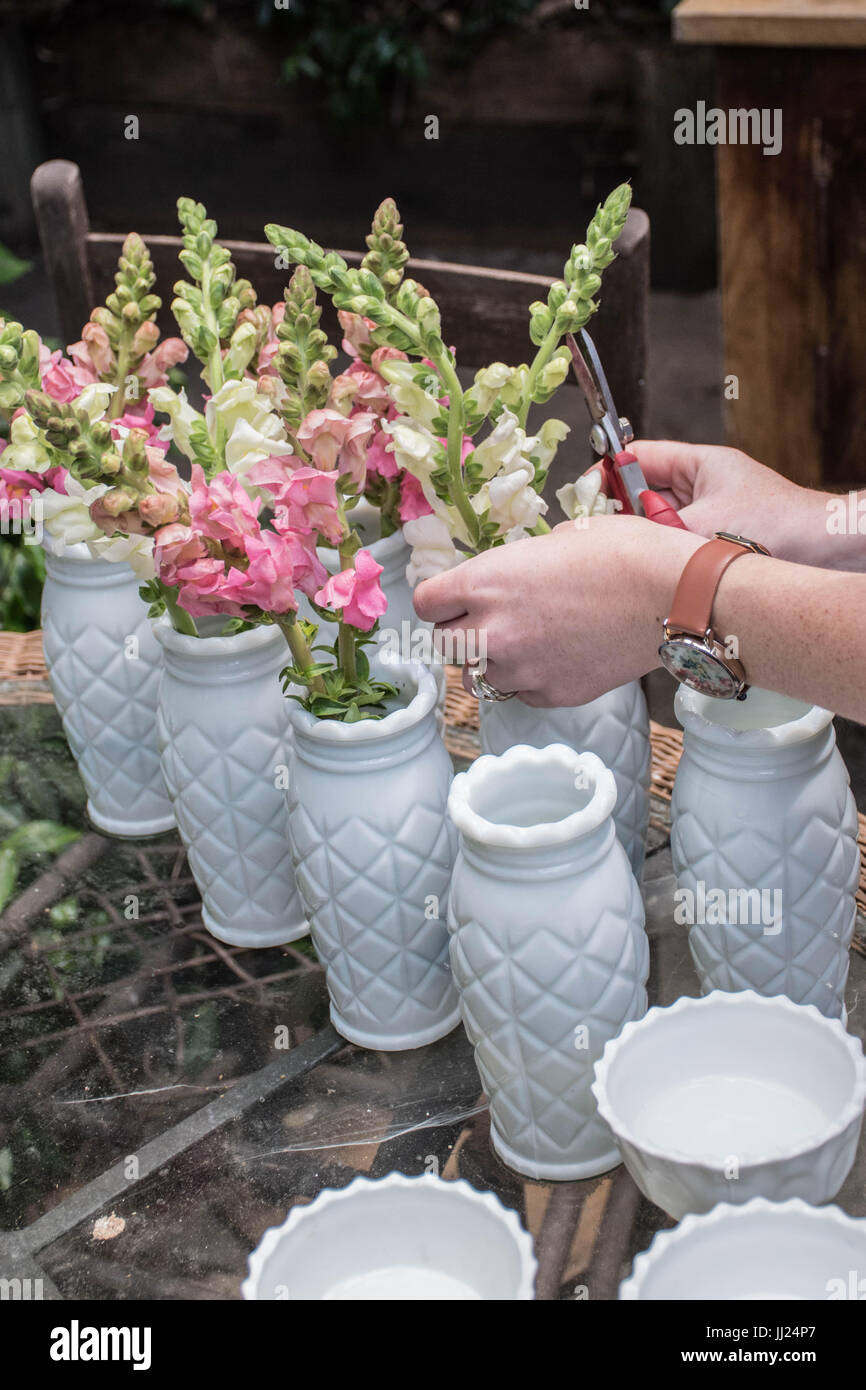 Frau Floristen arbeiten an Hochzeit Blumen in einem Workshop mit Gänseblümchen, Rosen, snapdragons, in Weiß und Rosa. Stockfoto