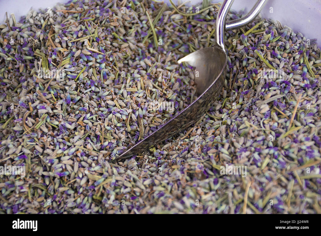 lokal angebauten natürlichen Lavendel locker in einer Schüssel mit einer Schaufel Stockfoto