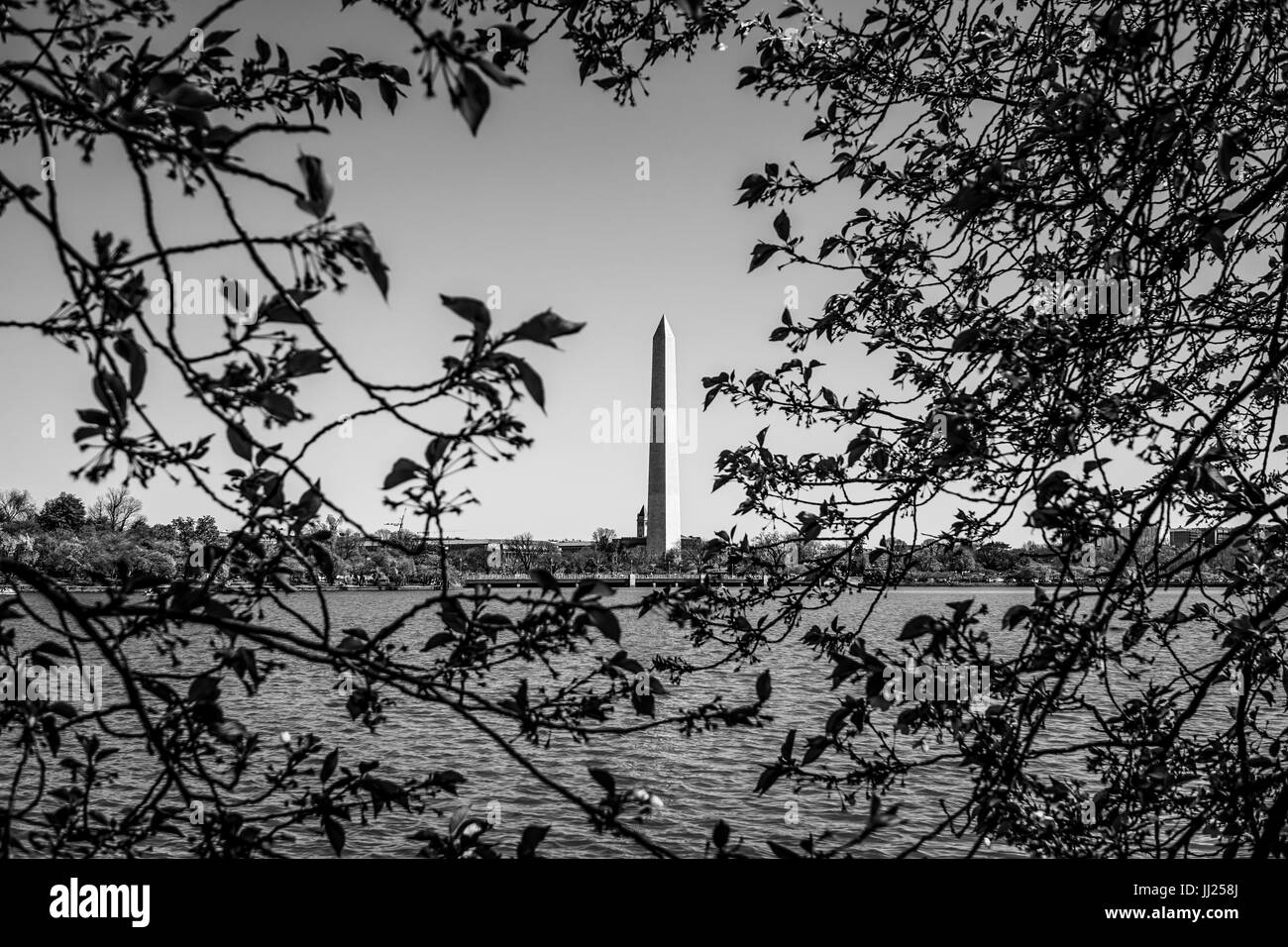 Washington Denkmal - Blick von Tidal Basin Stockfoto