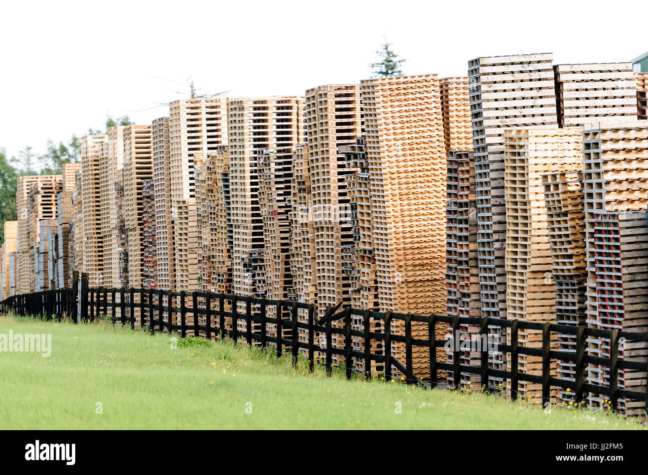 Holzpaletten gestapelt hoch bei einer Palettenfabrik in Irland. Stockfoto