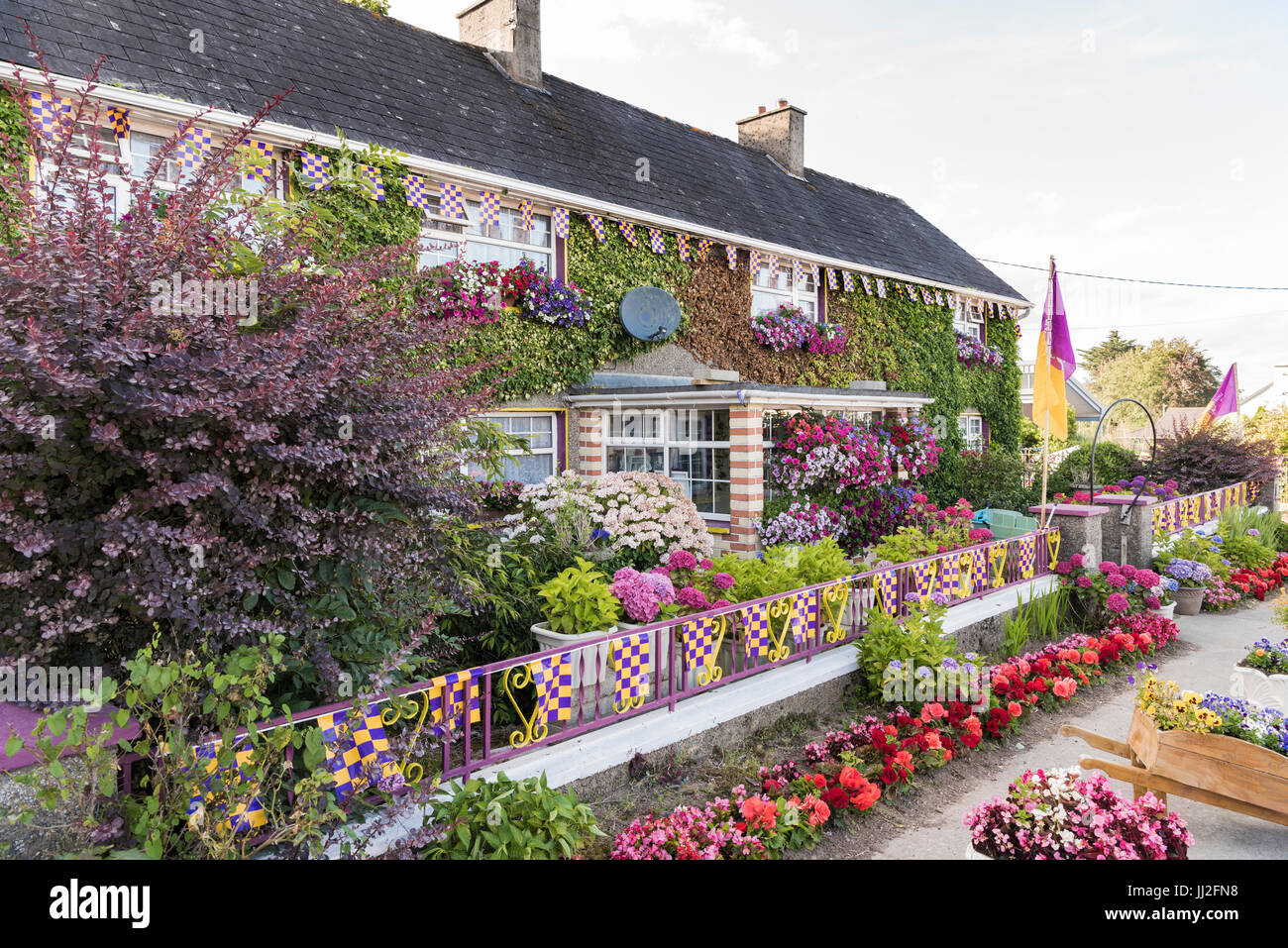 Ein Haus in County Wexford verziert in vielen Blumen, und die Flaggen und Farben der Wexford GAA Taam, lila und gelb. Stockfoto