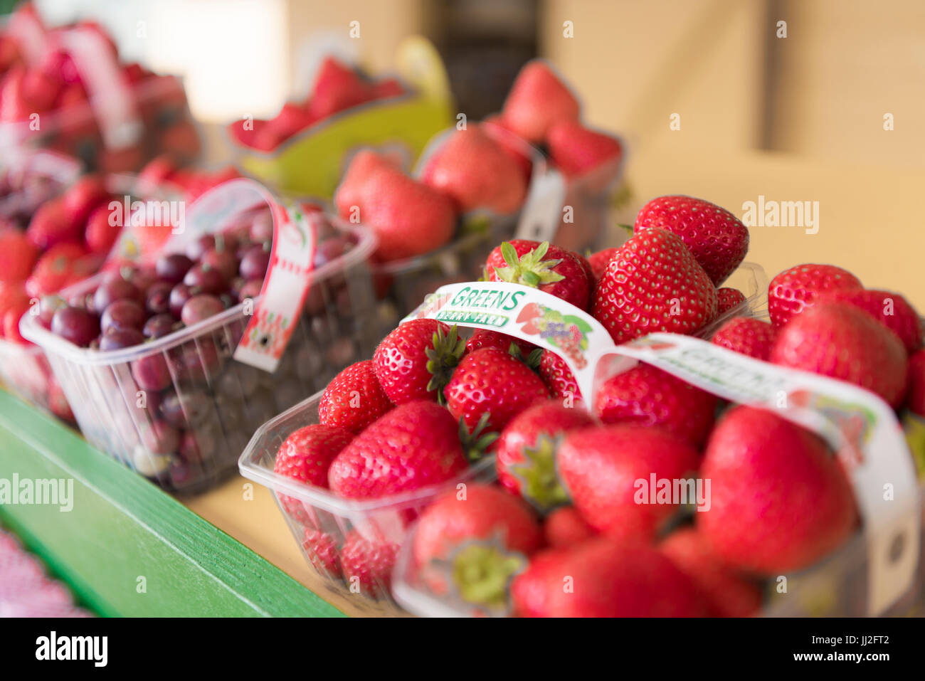 Bastkörbe von frisch gepflückten, lokal angebaut und in der Saison Erdbeeren und rote Johannisbeeren in Wexford, Irland. Stockfoto