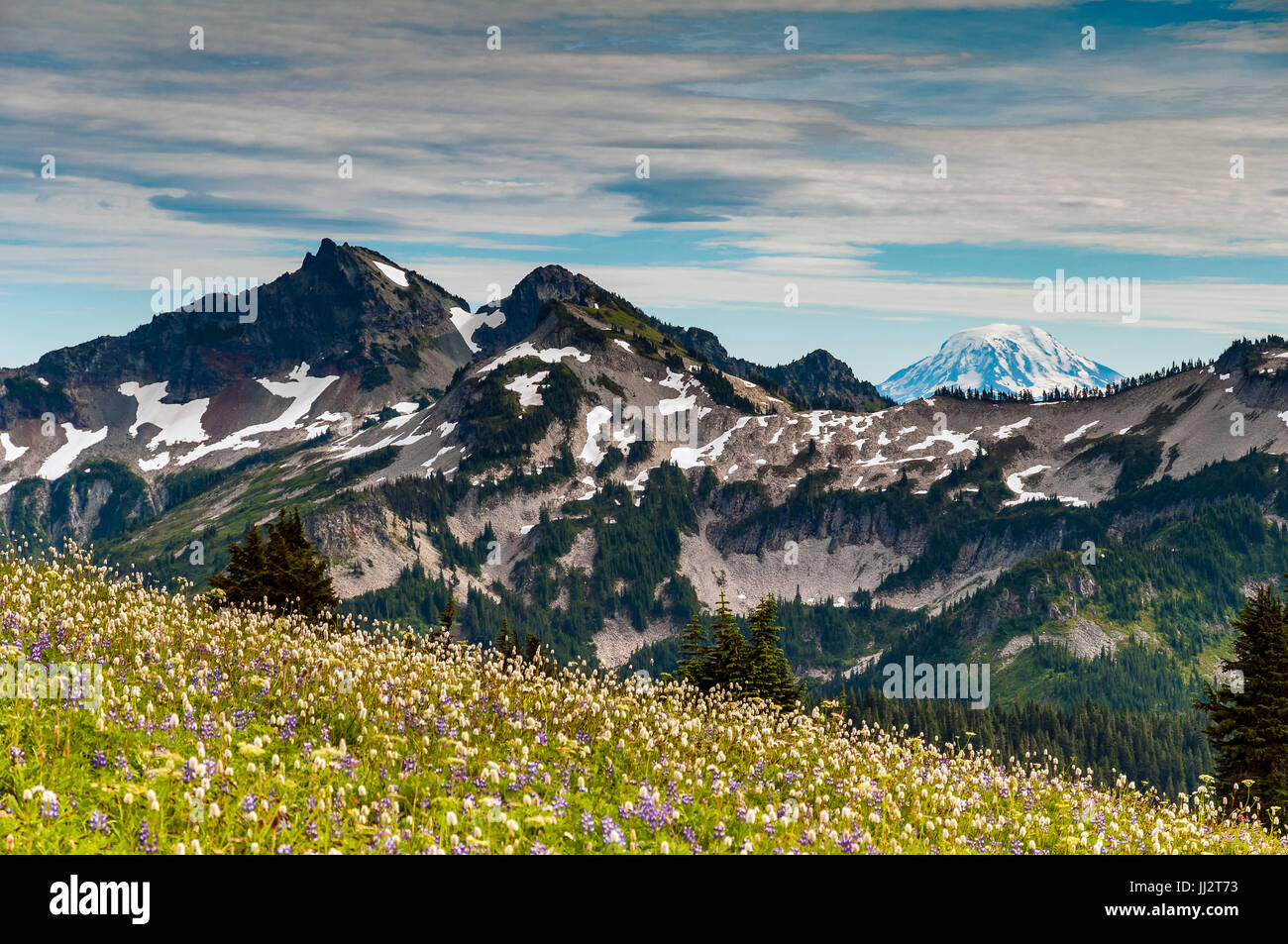 Malerische Berglandschaft mit Mount Adams im Hintergrund Mount-Rainier-Nationalpark, Washington, USA Stockfoto