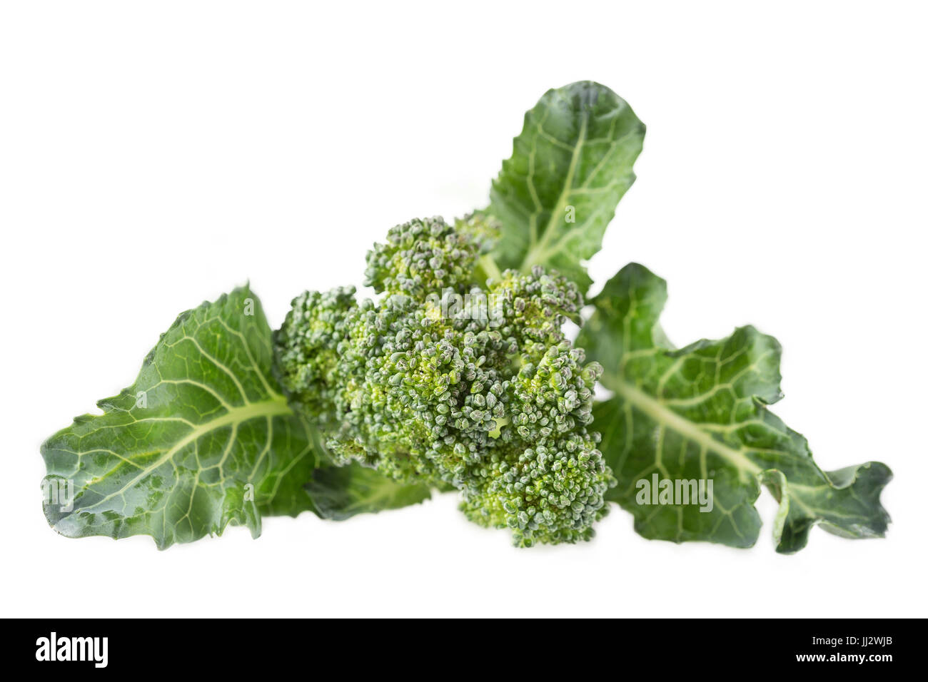 frischer grüner Brokkoli auf weiß Stockfoto
