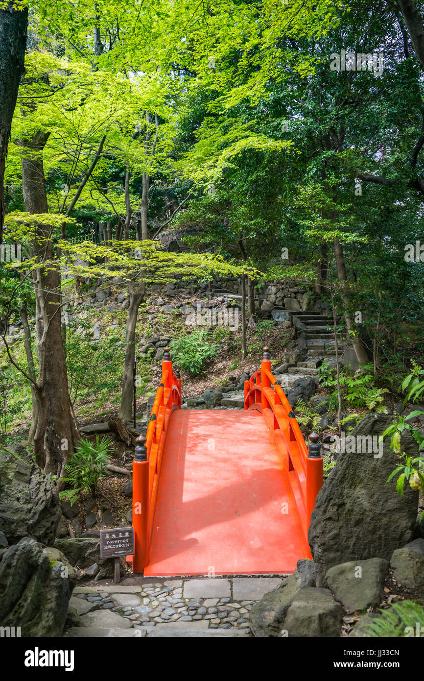 Eine rote Brücke bei Koishikawa Kōrakuen Gardens in Bunkyo, Tokio, Japan. Stockfoto