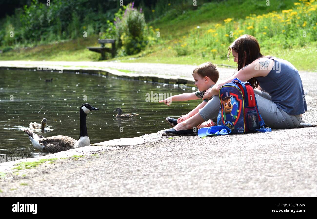 Bramhall Stockport, UK. 18. Juli 2017. Eine junge Frau und Kind viel Spaß beim Betrachten der Gänse und Enten im Teich im Bramall Park an einem hellen, sonnigen Morgen. Bildnachweis: John Fryer/Alamy Live-Nachrichten Stockfoto