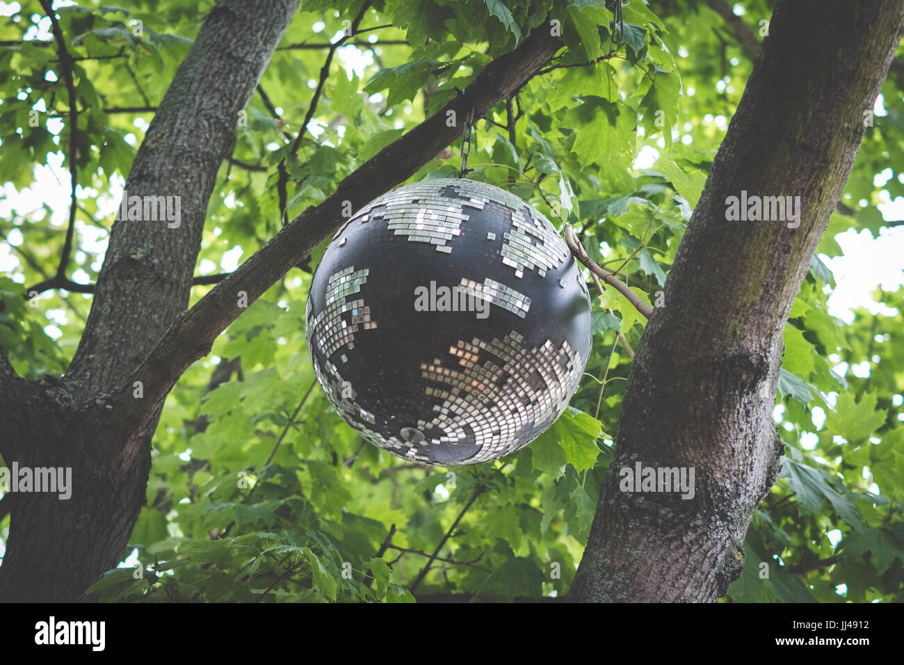 Kugelbäume Fotos und Bildmaterial in hoher Auflösung Alamy