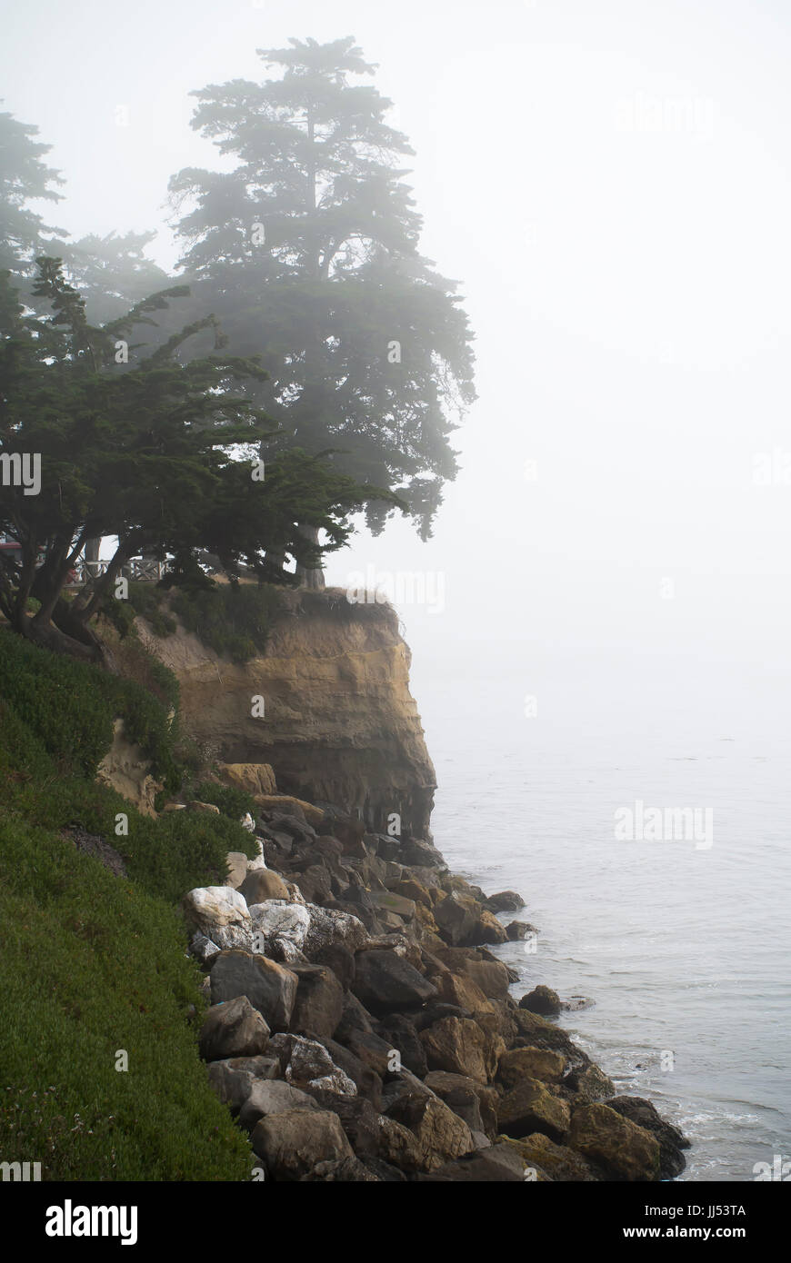 Von Bäumen gesäumten Cliff in Nebel gehüllt Stockfoto