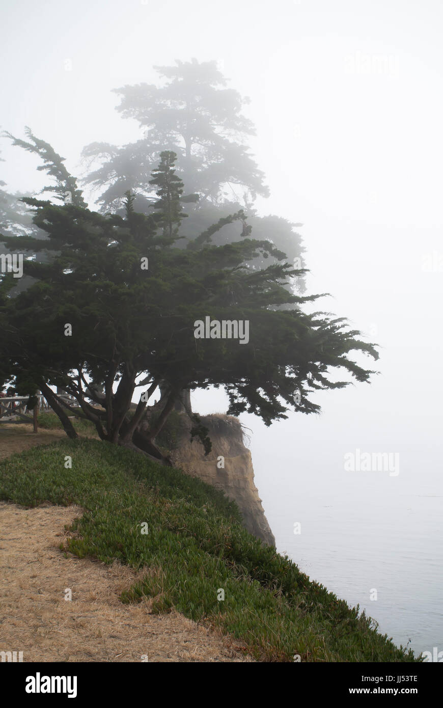 Von Bäumen gesäumten Klippen eingehüllt in Nebel Stockfoto