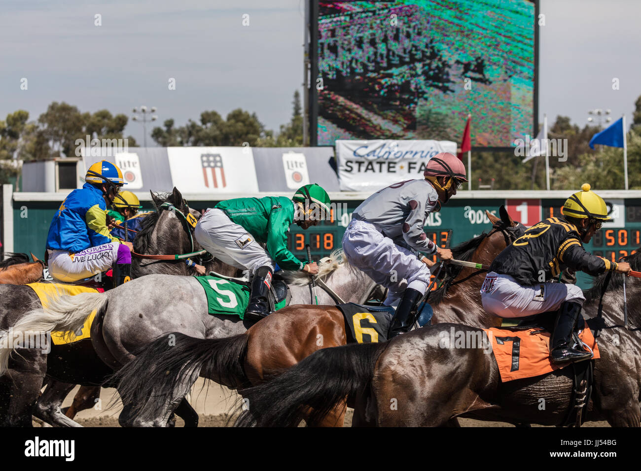 Horse racing-Action auf der Cal Expo in Sacramento, Kalifornien. Stockfoto