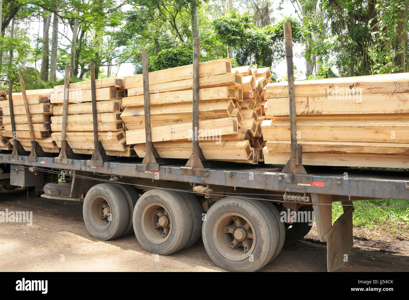 LKW, Holz, São Paulo, Brasilien Stockfoto