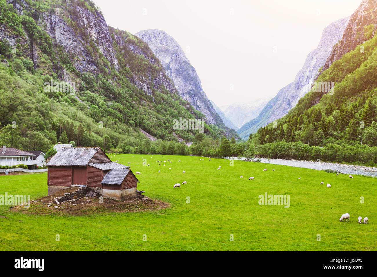 idyllischen Landschaft des Schaf-Farm im schönen Tal in Norwegen Stockfoto