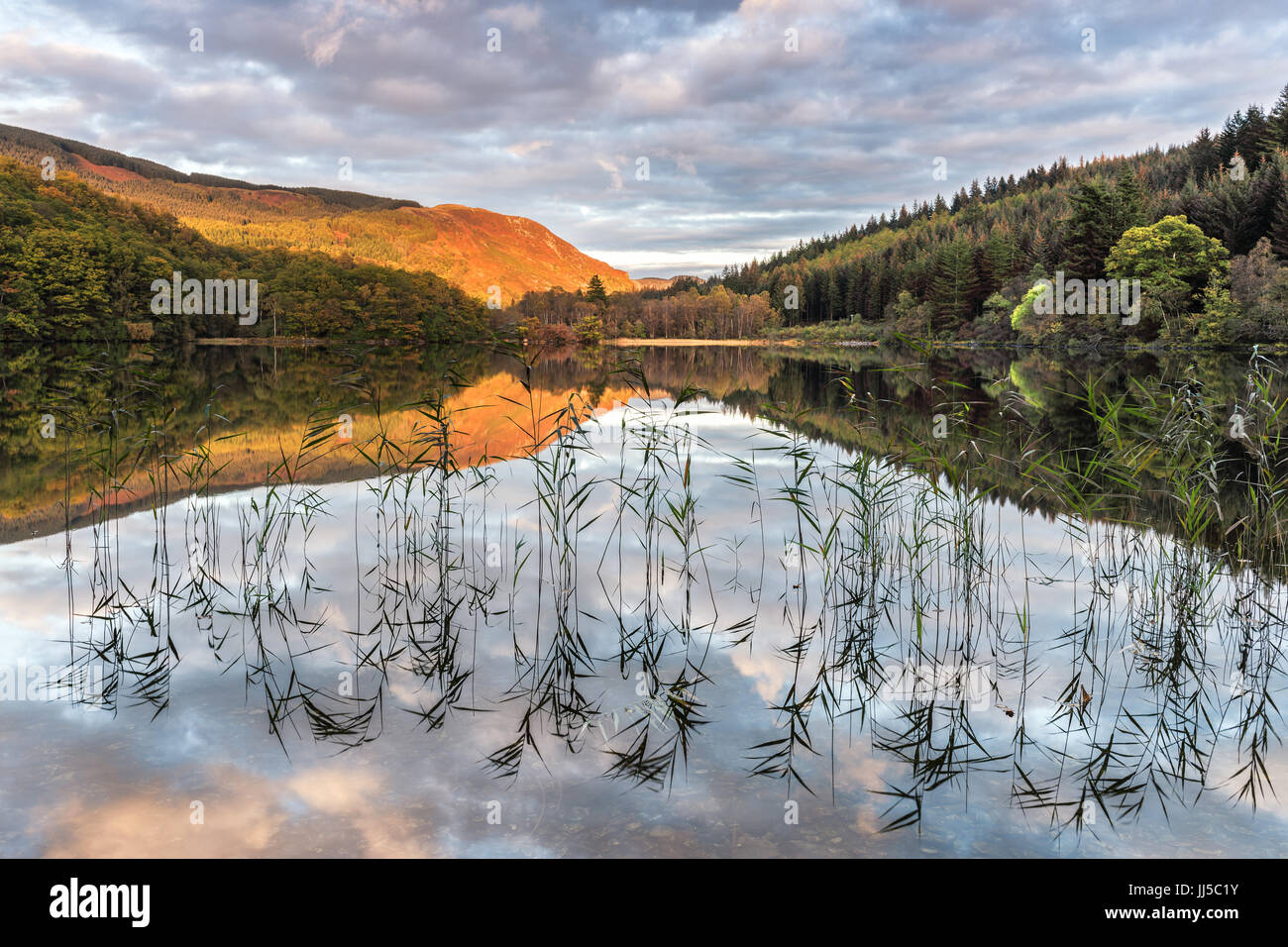 Herbstfärbung am Ufer des Loch Ard Stockfoto