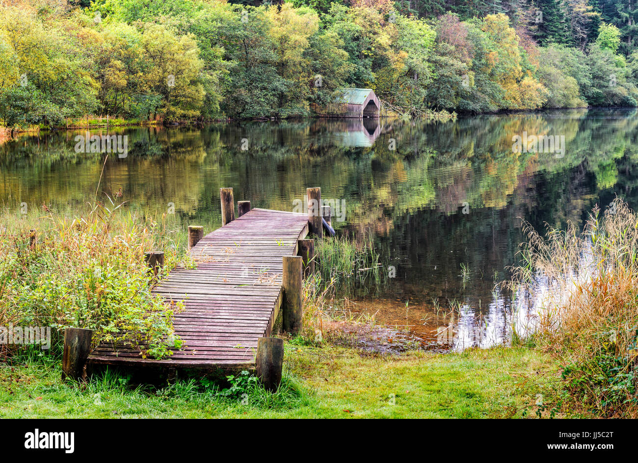 Herbstfärbung am Ufer des Loch Ard Stockfoto