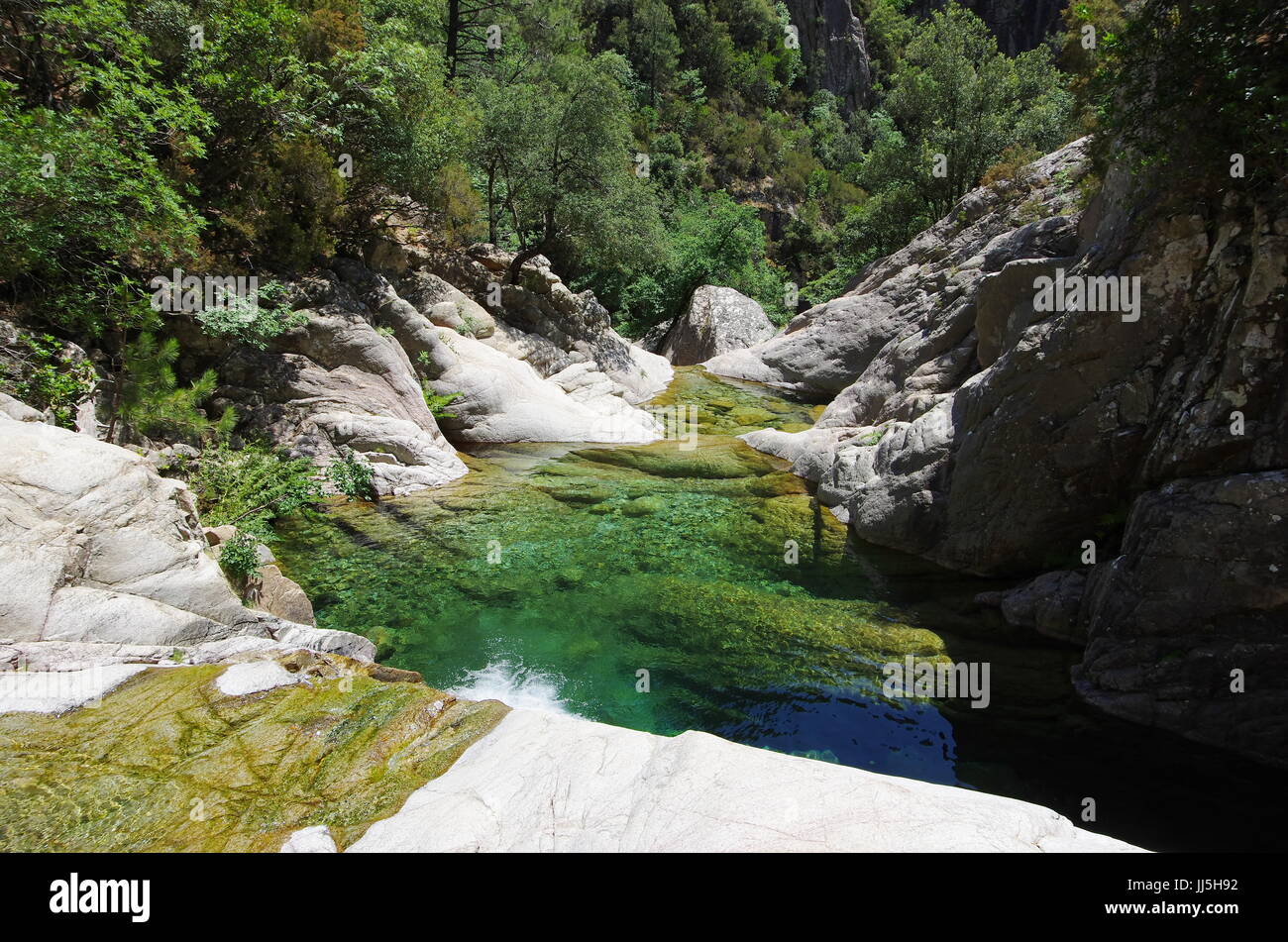 Die Idillyc Wasserfälle und Pools von Purcaraccia Canyon, zu der Aiguilles de Bavella-Palette. Stockfoto