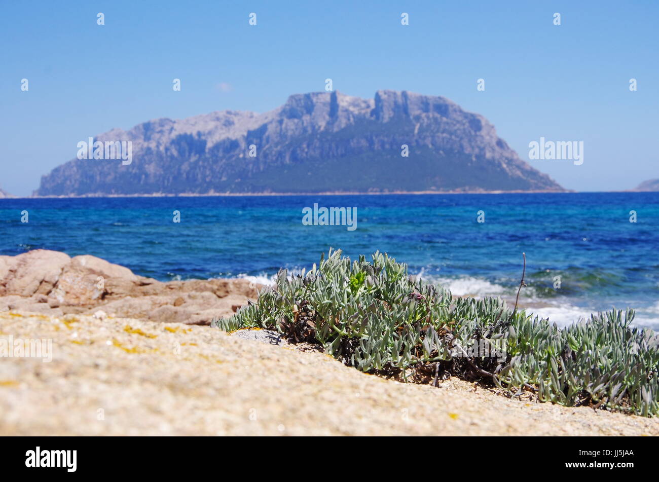 Malerische Aussicht auf Tavolara Insel von Sardinien Küste. Tavolara ist Gastgeber eines der kleinsten Königreiche der Welt. Stockfoto