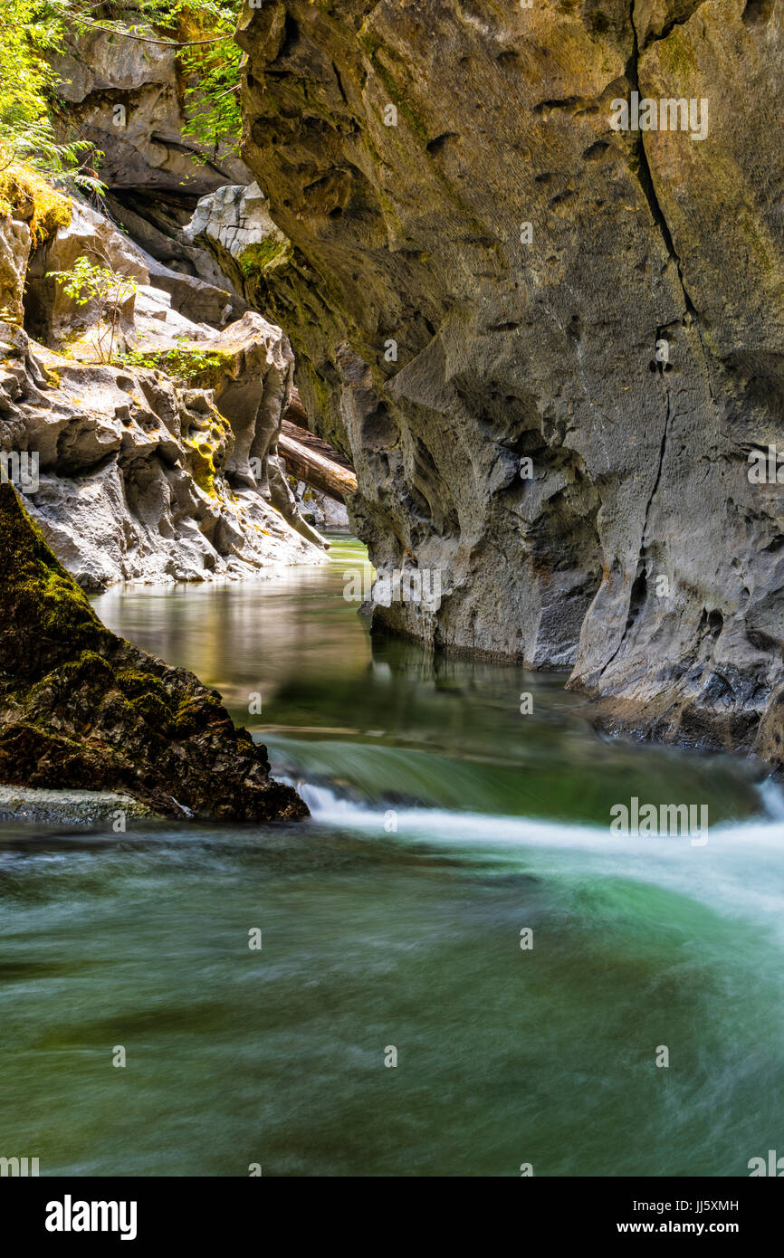 Atluck Creek Durchtrennung des Besetzung Kalksteins erstellen Huson Natural Bridge Höhle im kleinen Weiler Cave Regionalpark, Nord Vancouver Island, Brit Stockfoto
