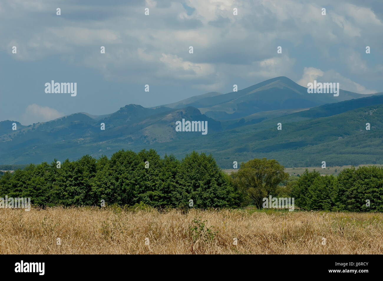 Majestätische Berggipfel, überwachsen mit Wald, Reife Weizen Feld und Grass Lichtung, zentralen Balkangebirges, Stara Planina, Bulgarien Stockfoto