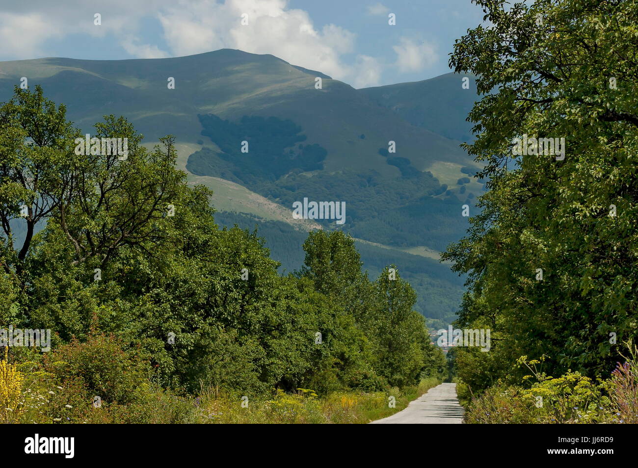 Majestätische Berggipfel, überwachsen mit Wald, Tal und Grass Lichtung, zentrale Planina-Gebirges Stara Planina, Bulgarien Stockfoto