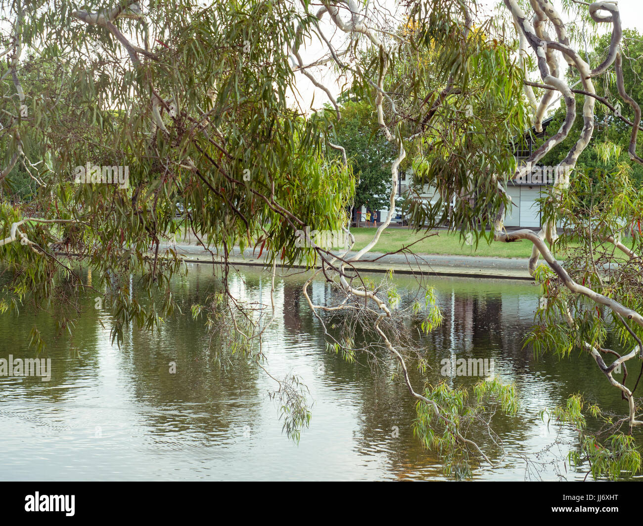 Fluss-Reflexion Stockfoto