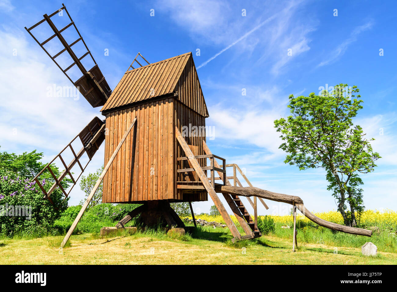Alte hölzerne Windmühle und ein kleiner Baum im Offenland. Raps-Feld im Hintergrund. Stockfoto