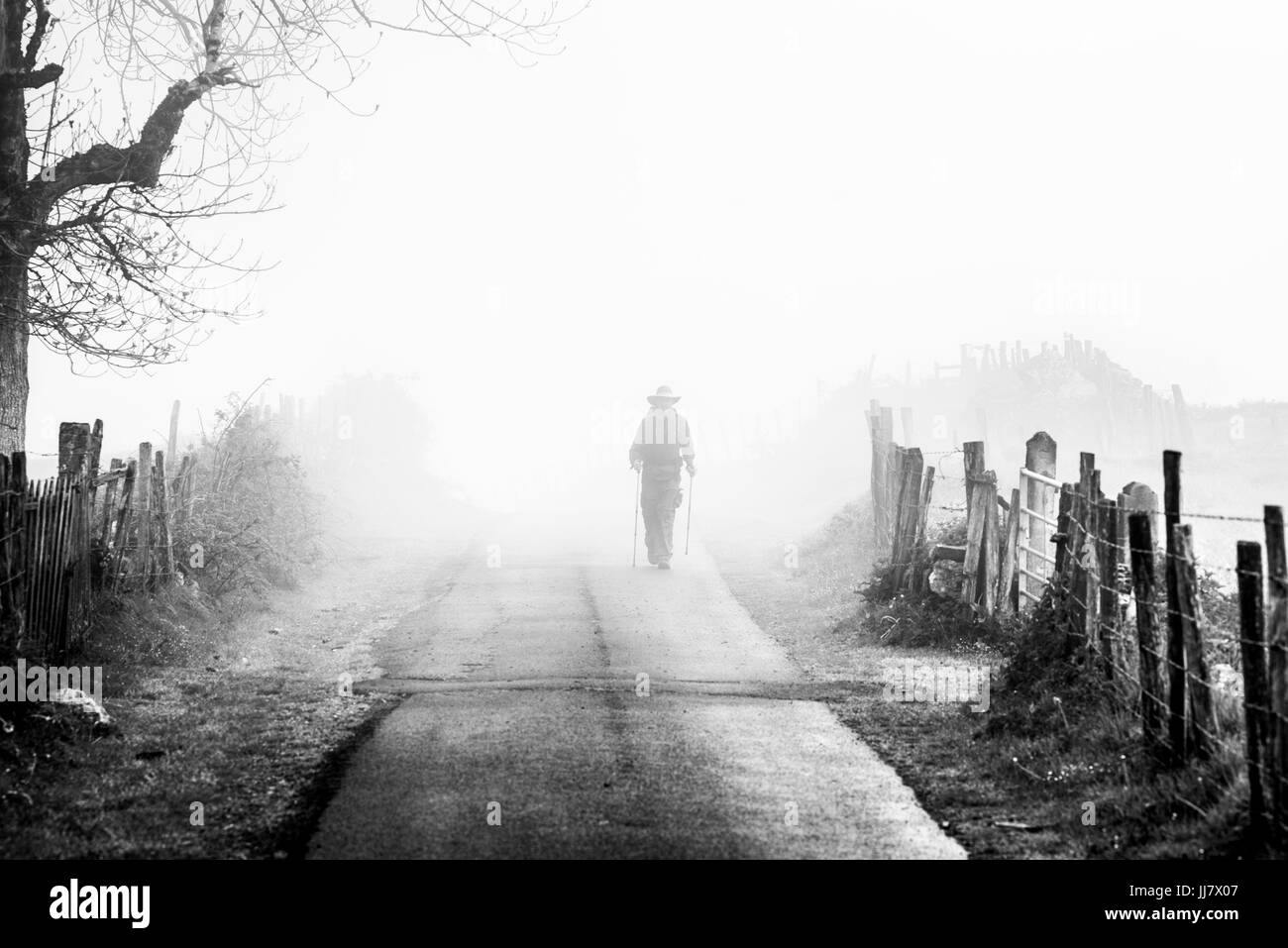 Pilger auf dem Weg von Saint-Jean-Pied-de-Port nach Roncesvalles, Camino de Santiago durch die Pyrenäen. Stockfoto