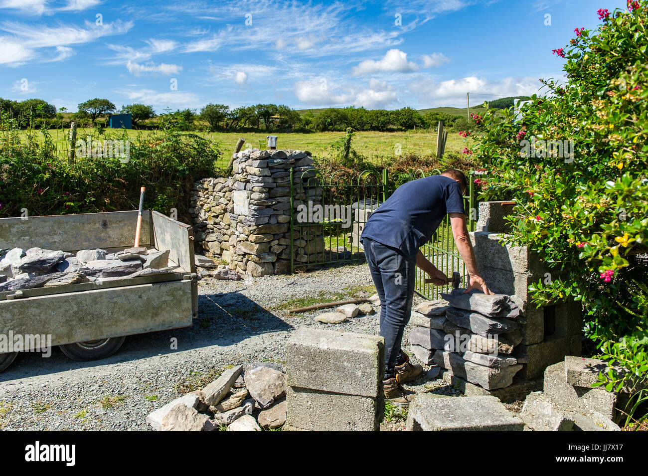 Steinmetz baut eine traditionelle Trockenmauer in West Cork, Irland mit Textfreiraum. Stockfoto