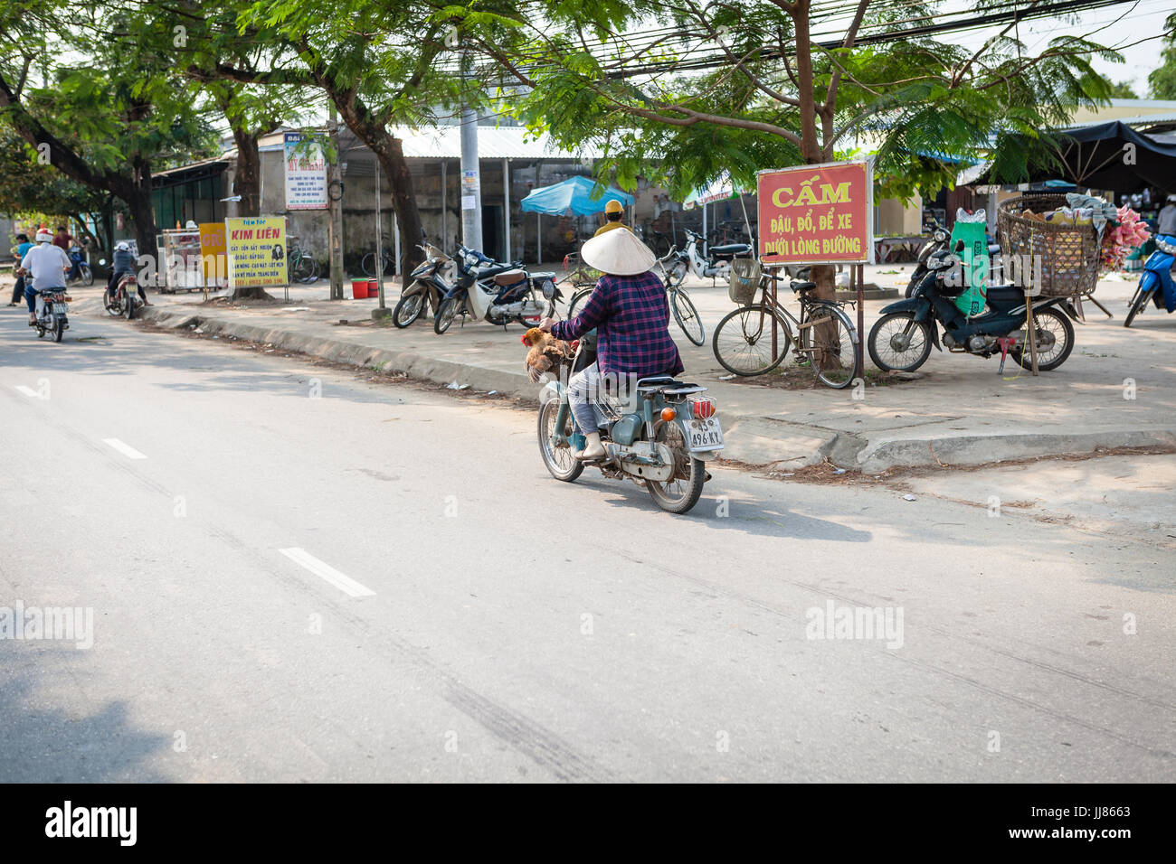 Mittleren Vietnam - 14. März 2017: traditionelle Art und Weise für den Transport von lebendem Geflügel ist, die Vögel, den Roller zu binden Stockfoto