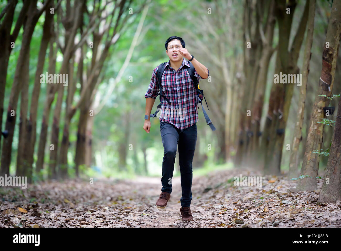 Glücklich asiatischer Mann Rucksack im Kautschuk-Plantage Hintergrund laufen. Reise und Urlaub-Konzept. Stockfoto