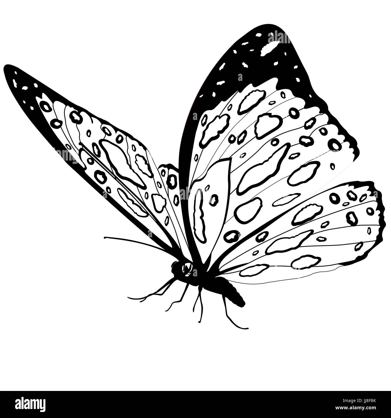 Schmetterling schwarz isoliert auf weißem Hintergrund, Vektor Insekt, monochrome Darstellung, Färbung, Buch, Banner, Karte, Plakat Stock Vektor