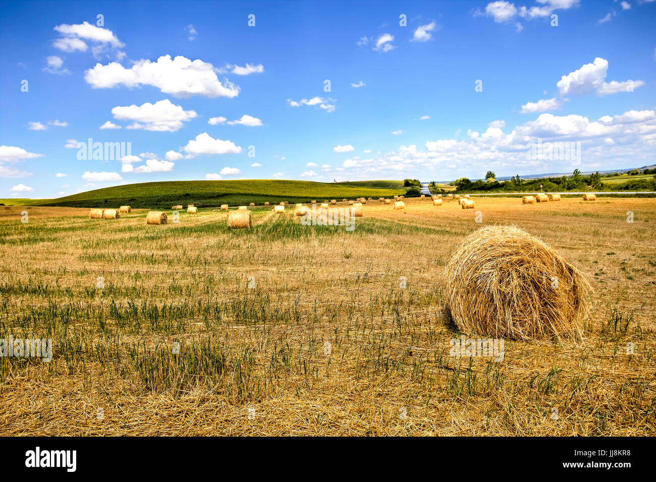 Runde Heuhaufen auf dem Feld nach der Ernte, Rumänien Stockfoto