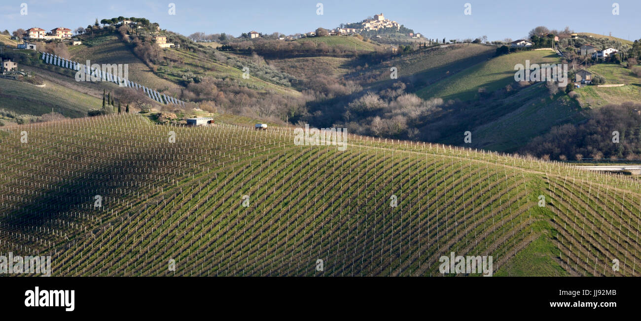 REGION Marken Italien Aussicht auf die Hügel mit Landwirtschaft Feldern Stockfoto