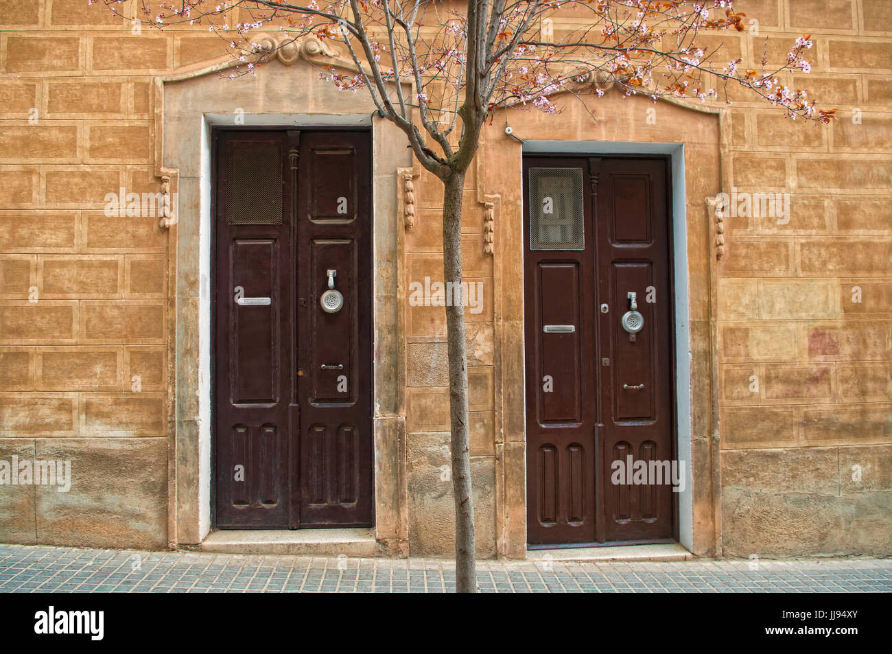 zwei braune Holztüren mit blühenden Baum an Frühlingstag in Barcelona, Spanien Stockfoto