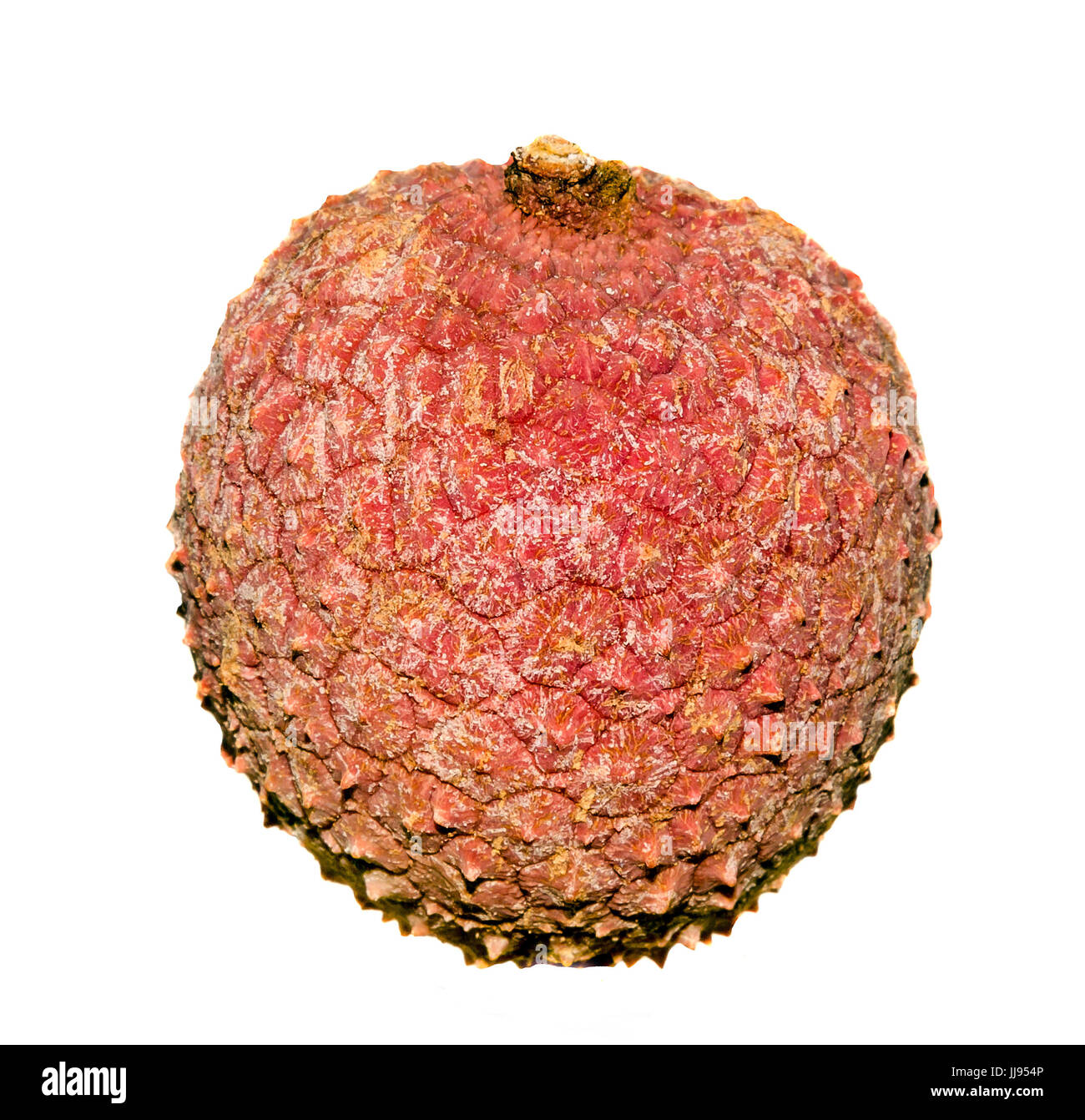 Litschi (Litchi Chinensis)-Früchte, Nahaufnahme, Makro, isoliert. Gattung Litchi in der Soapberry Familie, Sapindaceae. Stockfoto