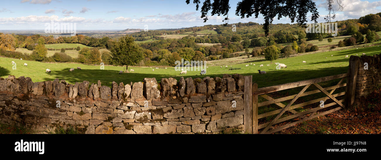 Blick über Cotswold Landschaft und Trockenmauern Mauer mit fünf Holzbar Tor, Saintbury, Cotswolds, Gloucestershire, England, Vereinigtes Königreich, Europa Stockfoto