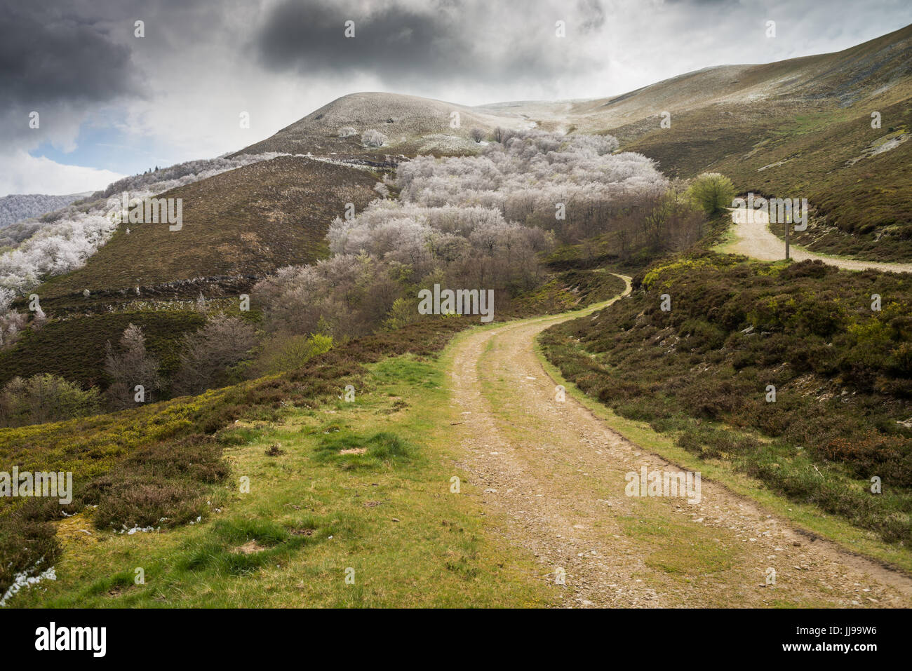 Der Weg von Saint-Jean-Pied-de-Port nach Roncesvalles, Camino de Santiago  durch die Pyrenäen, Frankreich, Spanien, Europa Stockfotografie - Alamy