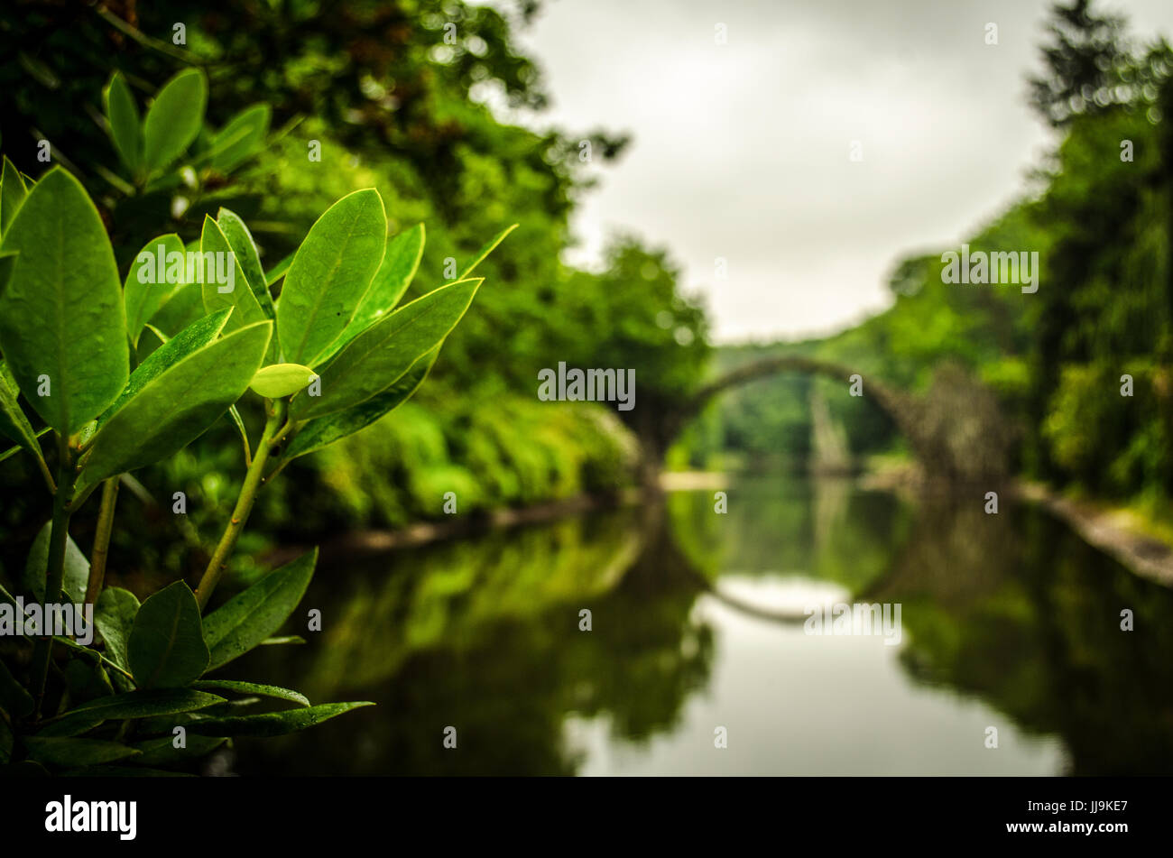 Rakotz Brücke in Bad Muskau Deutschland Nahaufnahme Stockfoto
