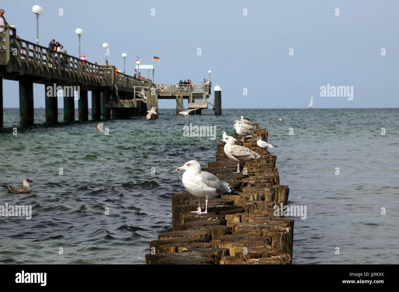 Kühlungsborn, Deutschland, stehend auf einem Hain an der Seebruecke Stockfoto