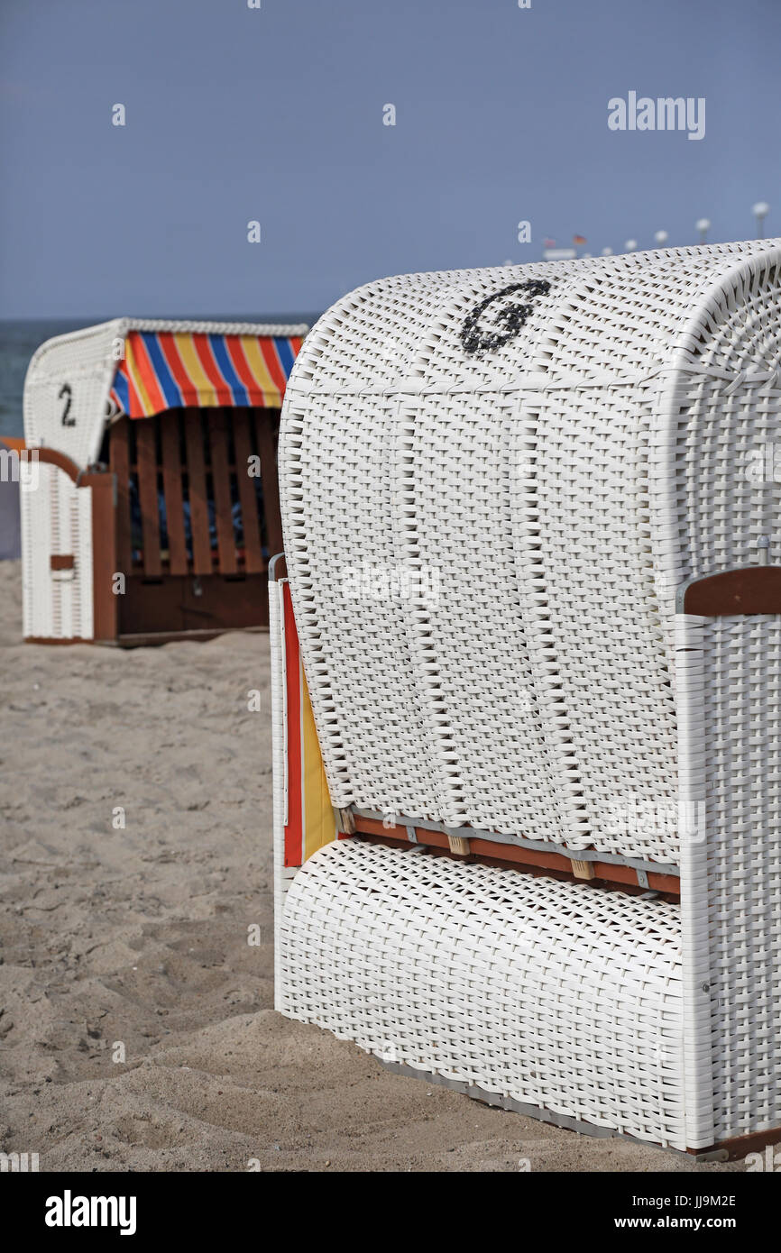 Kühlungsborn, Deutschland, versiegelte Strand Rinder Stockfoto