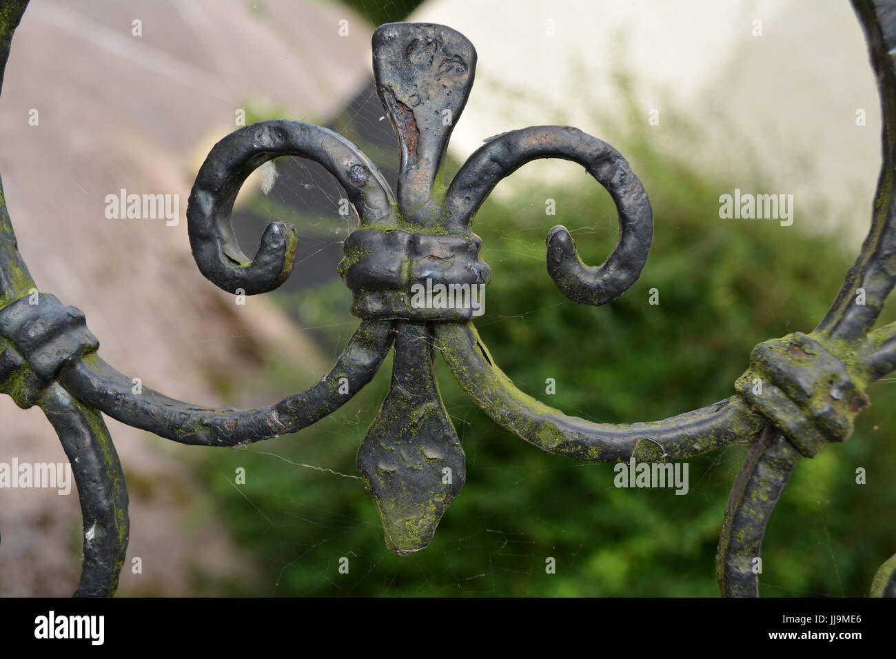 Fleur de Lis lys Nahaufnahme Detail von Verwitterten schwarz lackiert dekorative Metal Gate re Architektur Design schmiedeeiserne Arbeit Erbe Stockfoto